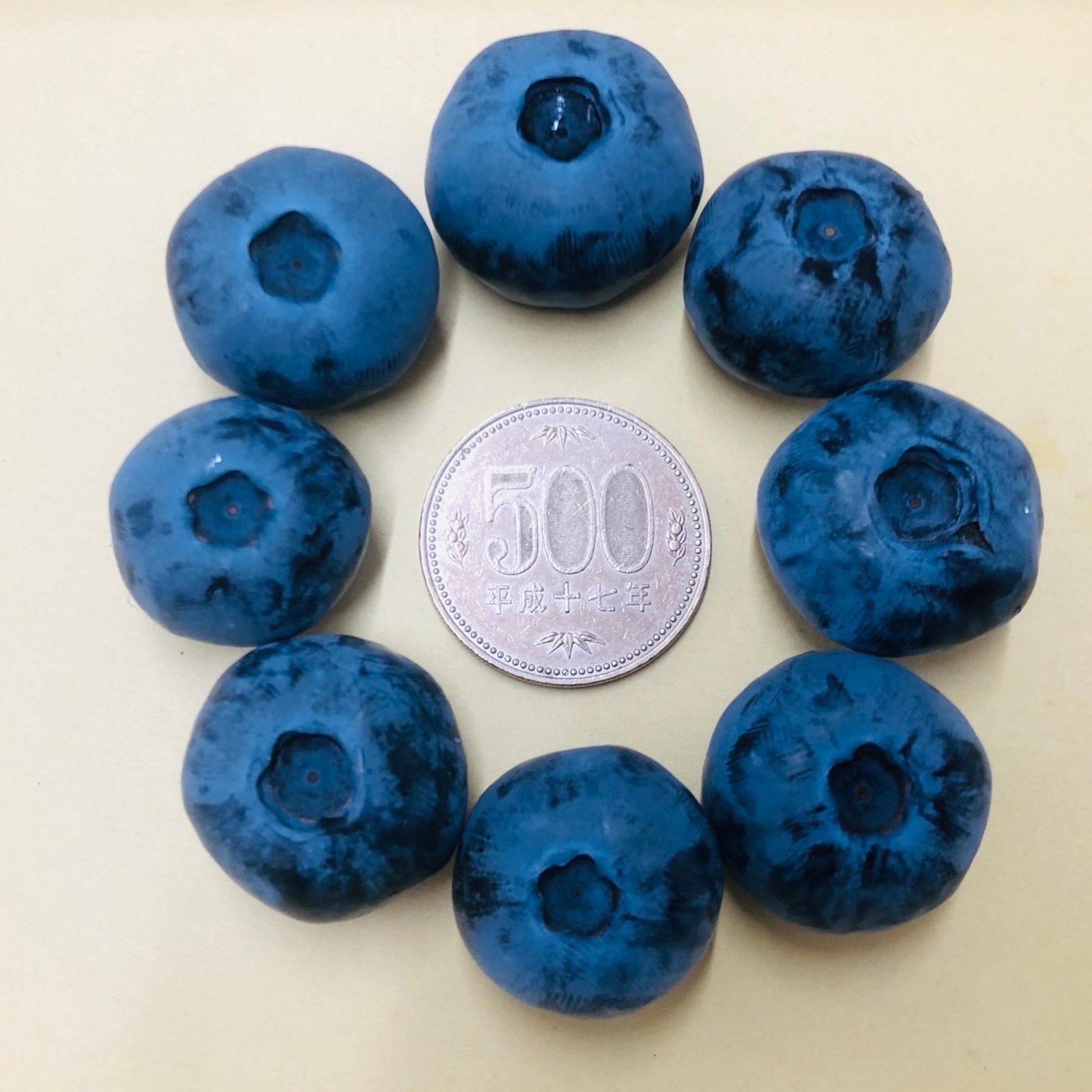 500円玉と同じ大きさのブルーベリー
